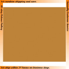 Model Colour Acrylic Paint - Medium Fleshtone 17ml