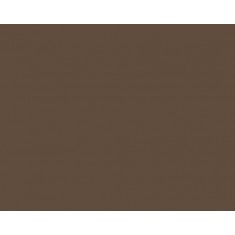 Model Colour Acrylic Paint - Chocolate Brown 17ml