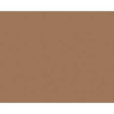 Model Colour Acrylic Paint - USA Tan Earth 17ml