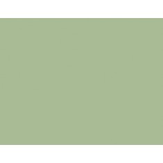 Model Colour Acrylic Paint - Pastel Green 17ml