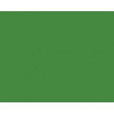 Model Colour Acrylic Paint - Intermediate Green 17ml