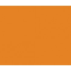 Model Colour Acrylic Paint - Light Orange 17ml