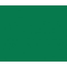 Model Colour Acrylic Paint - Park Green 17ml