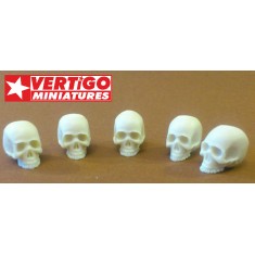1/15 (120mm) Skulls (5 Resin Skulls)