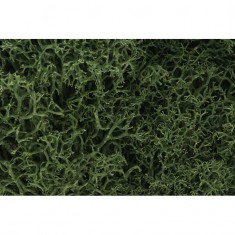 Ground Cover - Lichen #Medium Green (coverage area = 86.6 in3 / 1410cm3)