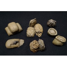 1/35 Food and Feed Set #A