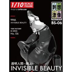 1/10 Stimulus Fantasy - Ivisible Sexy