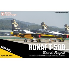 1/48 T-50B "Black Eagles" [Team ROKA 70th Anniversary Special Kit]