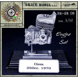 Brach Models