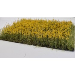 Rapeseed Field / Yellow Field of Flowers (A7, High up to 36mm) Rapeseed Field / Yellow Field of Flowers (A7, High up to 36mm)