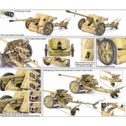 Dragon Models