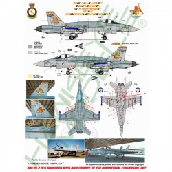 RAAF Decals for 1/48 McDonnell Douglas F/A-18A Hornet 2OCU (Special scheme 2002) RAAF Decals for 1/48 McDonnell Douglas F/A-18A Hornet 2OCU (Special scheme 2002)