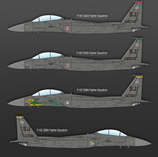 1/72 USAF F-15E 333rd Fighter Squadron 1/72 USAF F-15E 333rd Fighter Squadron