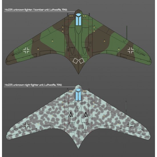 1/72 German Horten Ho 229 Wunderwaffe Fighter-bomber 1/72 German Horten Ho 229 Wunderwaffe Fighter-bomber