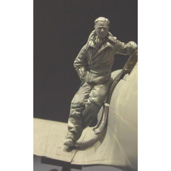 1/32 WWII RAF Fighter Pilot Ace Douglas Bader (1 Resin Figure) 1/32 WWII RAF Fighter Pilot Ace Douglas Bader (1 Resin Figure)