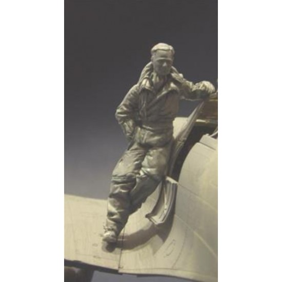 1/32 WWII RAF Fighter Pilot Ace Douglas Bader (1 Resin Figure) 1/32 WWII RAF Fighter Pilot Ace Douglas Bader (1 Resin Figure)