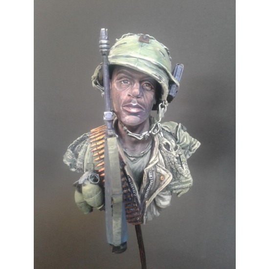 1/6 Vietnam War Bust 1/6 Vietnam War Bust