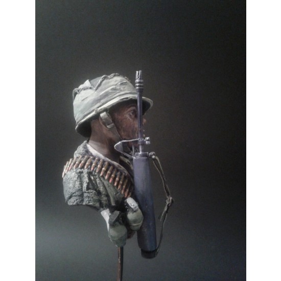 1/6 Vietnam War Bust 1/6 Vietnam War Bust