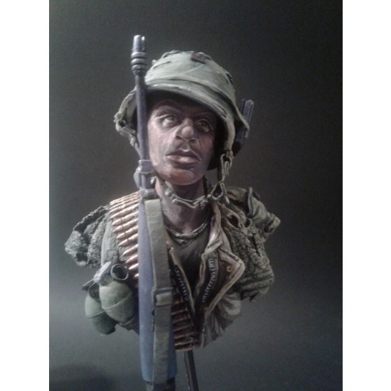 1/6 Vietnam War Bust 1/6 Vietnam War Bust