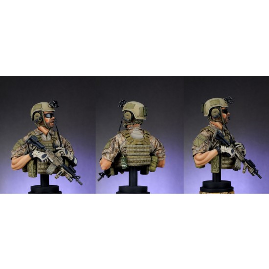 1/9 US Navy Seal Bust