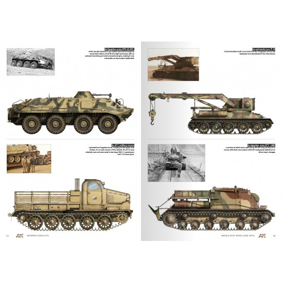 Profile Guide Vol.1 - Middle East Wars 1948-73 Arab-Israeli Conflict (English, 100pages) Profile Guide Vol.1 - Middle East Wars 1948-73 Arab-Israeli Conflict (English, 100pages)