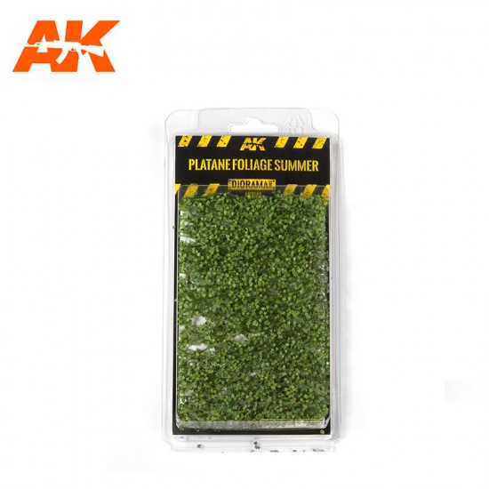 Platane Foliage Summer (Tufts) Platane Foliage Summer (Tufts)