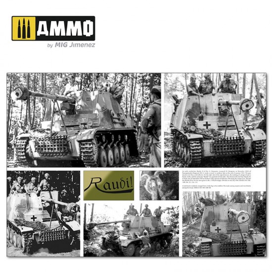 Italienfeldzug: German Tanks & Vehicles 1943-1945 Vol.2 (English, 248 pages) Italienfeldzug: German Tanks & Vehicles 1943-1945 Vol.2 (English, 248 pages)