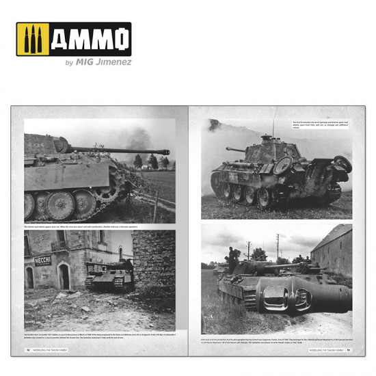 Panthers - Modelling the TAKOM Family (English, 208 pages) Panthers - Modelling the TAKOM Family (English, 208 pages)