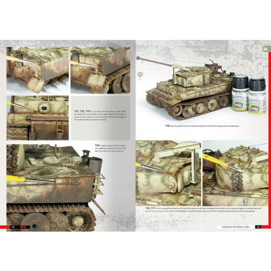 Tigers - Modelling the Ryefield Family (English, 220 pages) Tigers - Modelling the Ryefield Family (English, 220 pages)
