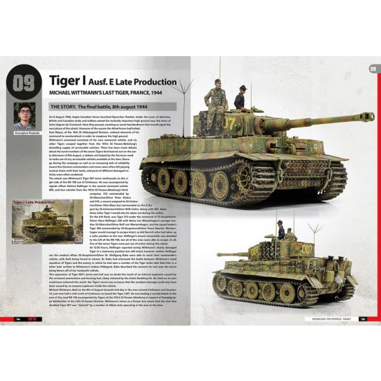 Tigers - Modelling the Ryefield Family (English, 220 pages) Tigers - Modelling the Ryefield Family (English, 220 pages)