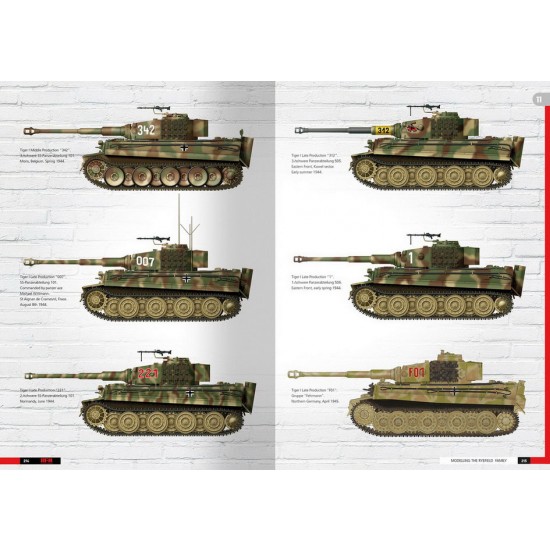 Tigers - Modelling the Ryefield Family (English, 220 pages) Tigers - Modelling the Ryefield Family (English, 220 pages)