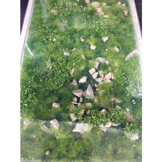 Realistic Ground Mat - Stony Mountain Spring (Dimensions: 230 x 130 mm) Realistic Ground Mat - Stony Mountain Spring (Dimensions: 230 x 130 mm)