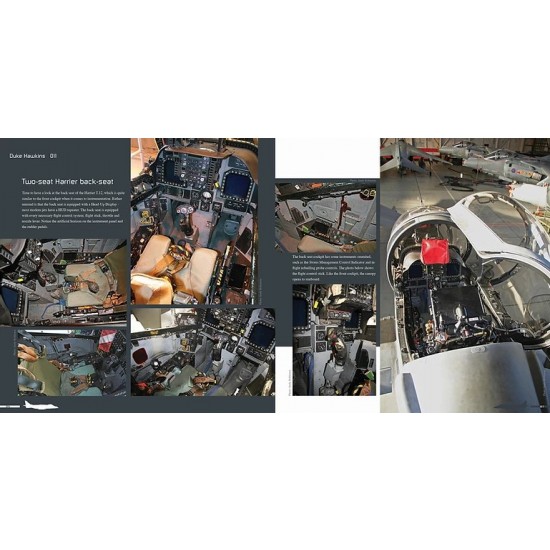 Aircraft in Detail: BAE Systems Harrier II & Boeing AV-8B Harrier II (English) Aircraft in Detail: BAE Systems Harrier II & Boeing AV-8B Harrier II (English)