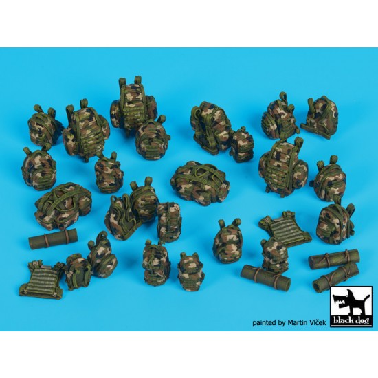1/35 French Equipment Accessories Set 1/35 French Equipment Accessories Set