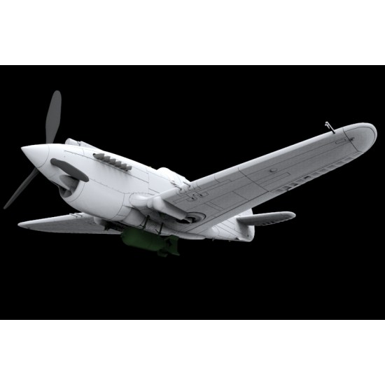 1/48 Curtiss Tomahawk Mk.II B Fighter The British Commonwealth Air Force w/Resin Pilot 1/48 Curtiss Tomahawk Mk.II B Fighter The British Commonwealth Air Force w/Resin Pilot
