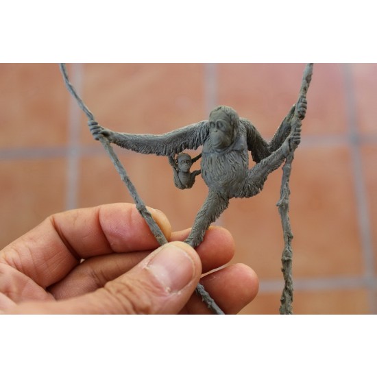 1/20, 90mm Scale Orangutan / Ape 1/20, 90mm Scale Orangutan / Ape