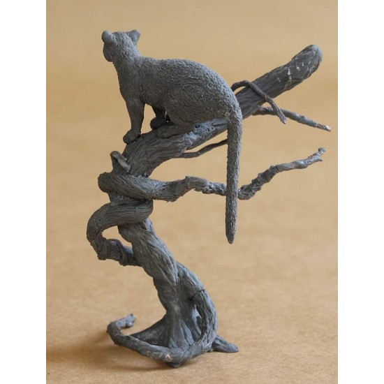 90mm, 1/20 Clouded Leopard 90mm, 1/20 Clouded Leopard