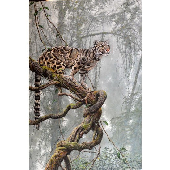 90mm, 1/20 Clouded Leopard 90mm, 1/20 Clouded Leopard