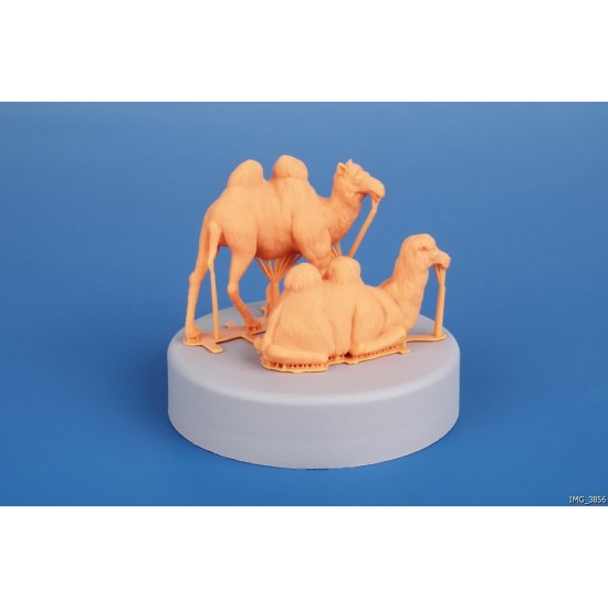 1/72 Bactrian Camel (2pcs) 1/72 Bactrian Camel (2pcs)