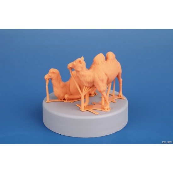 1/72 Bactrian Camel (2pcs) 1/72 Bactrian Camel (2pcs)