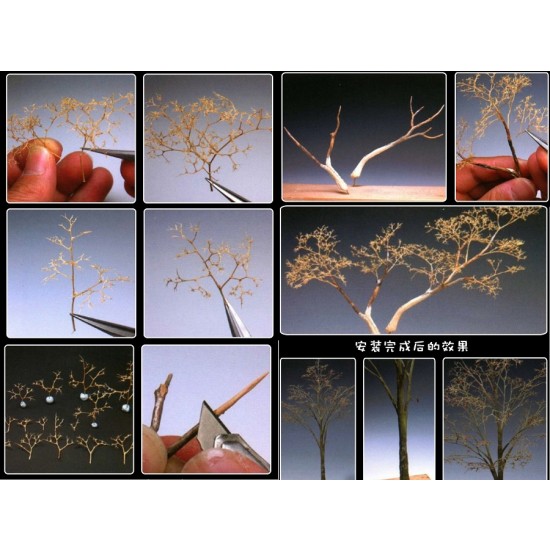 Teloxys Aristata (box: 30 x 5 x 5cm) for Making Tree Leaves