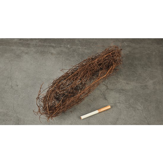 Climbing Plants Vine (box: 30 x 5 x 5cm) Climbing Plants Vine (box: 30 x 5 x 5cm)