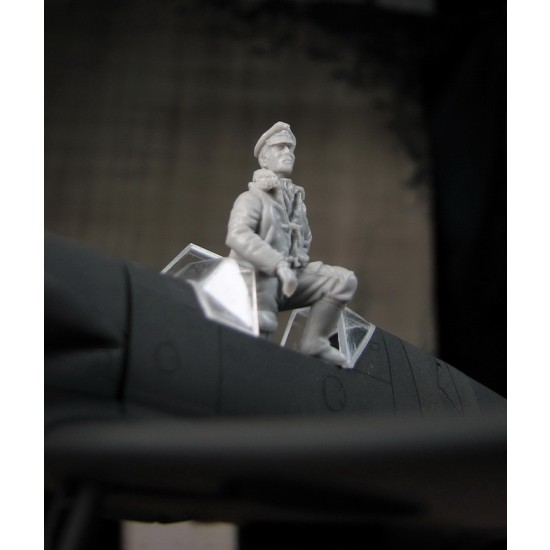 1/48 Luftwaffe Pilot 1/48 Luftwaffe Pilot