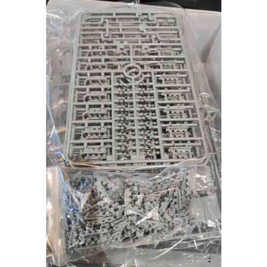 1/35 Wittmanns Last Tiger 1/35 Wittmanns Last Tiger