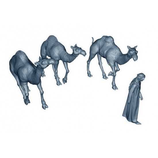 1/35 Arabian Shepherd with 3 Camels 1/35 Arabian Shepherd with 3 Camels