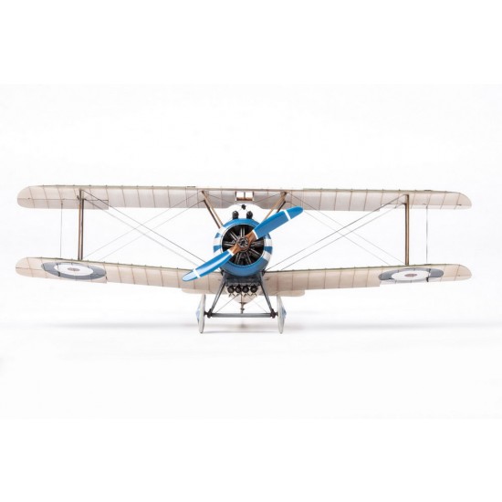 1/48 BIGGLES & Co. WWI British Sopwith F.1 Camel [Limited Edition]