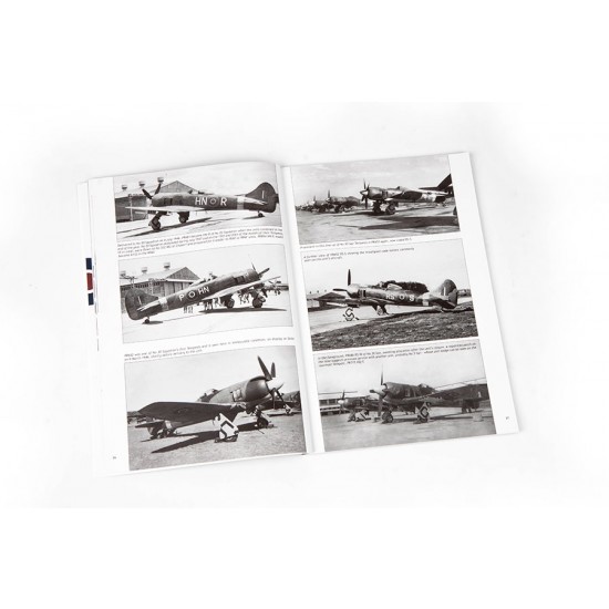 1/48 The Ultimate Tempest Royal, Pakistan & Indian Air Force Mk.II [Limited Edition]