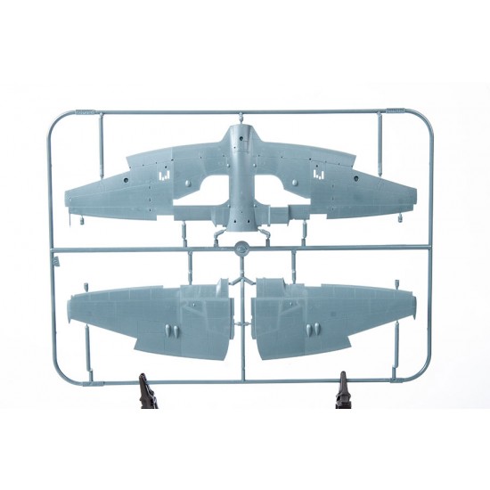1/48 The Ultimate Tempest Royal, Pakistan & Indian Air Force Mk.II [Limited Edition]