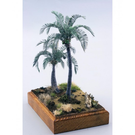1/72 Cocos Nucifera Palm Leaves (Colour Photo-etched Set) 1/72 Cocos Nucifera Palm Leaves (Colour Photo-etched Set)