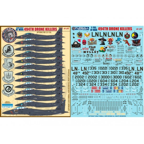 1/48 USAF F-15E Drone Killers 494th Fighter Squadron Decal 1/48 USAF F-15E Drone Killers 494th Fighter Squadron Decal